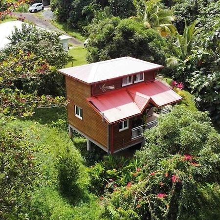 Mahogany Lodge - Oasis Cosy Riviere-Pilote Bagian luar foto