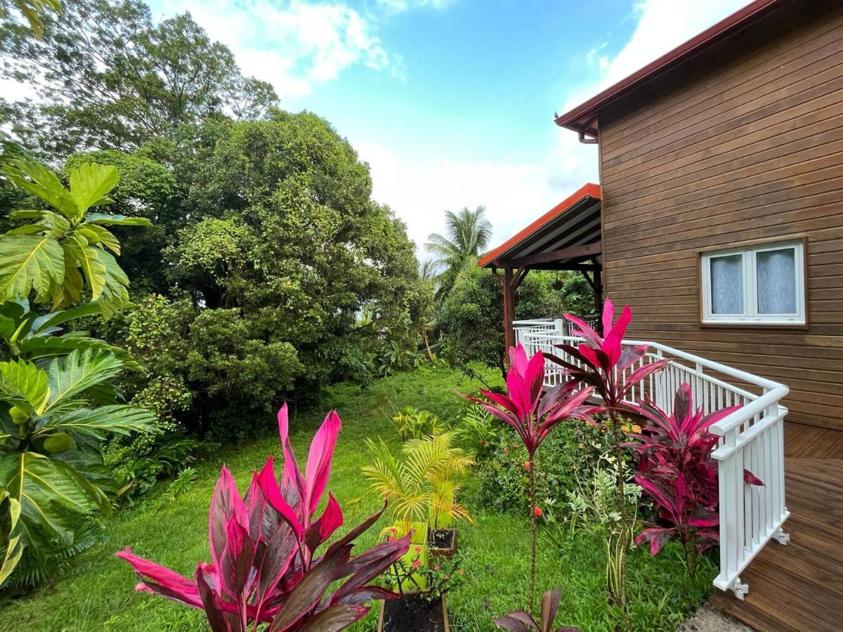 Mahogany Lodge - Oasis Cosy Riviere-Pilote Bagian luar foto