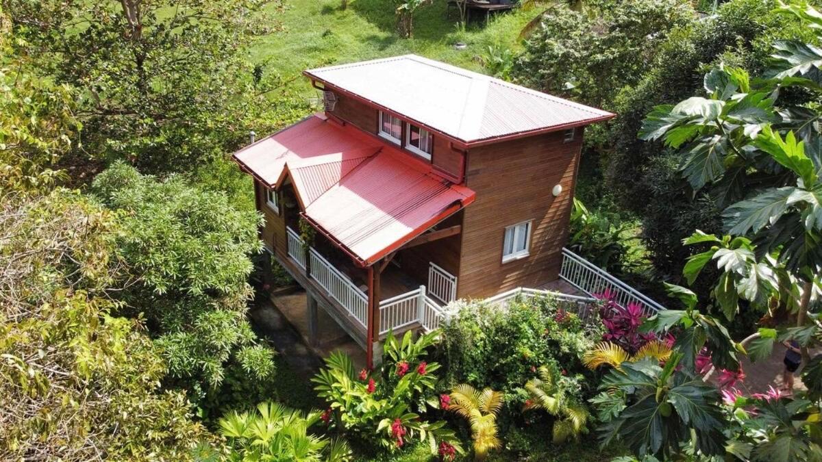 Mahogany Lodge - Oasis Cosy Riviere-Pilote Bagian luar foto