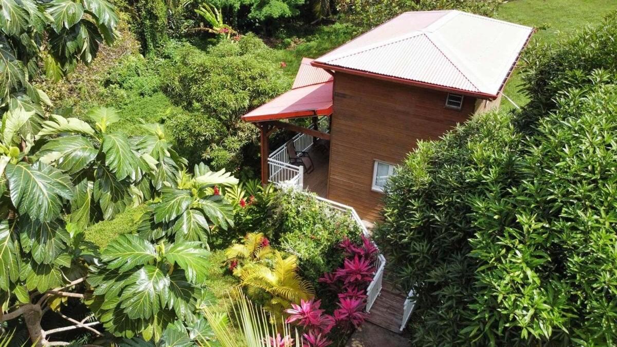 Mahogany Lodge - Oasis Cosy Riviere-Pilote Bagian luar foto
