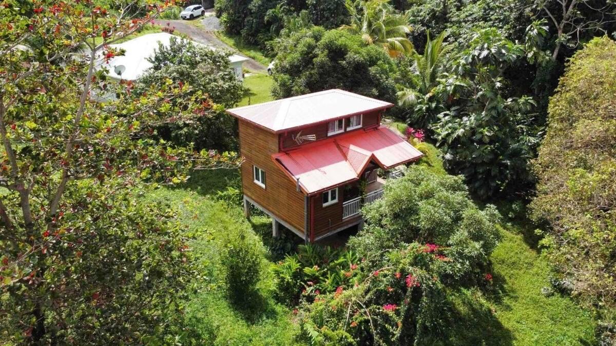 Mahogany Lodge - Oasis Cosy Riviere-Pilote Bagian luar foto